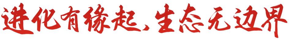 9e4312fdaec683dc2791743d3ef57112.png 9e4312fdaec683dc2791743d3ef57112.png