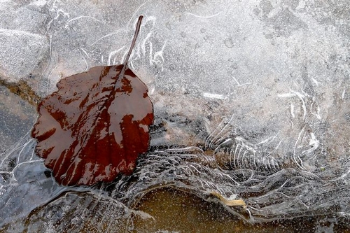 青島北九水現冰瀑奇觀 冰清玉潔似世外仙境