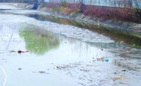 板橋坊河入海口河道淤積變臭 板橋坊河入海口河道淤積變臭