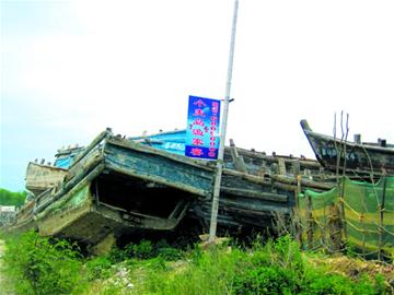 小麥島驚現六百條漁船墓地 網友擔心近海已無魚 小麥島驚現六百條漁船墓地 網友擔心近海已無魚