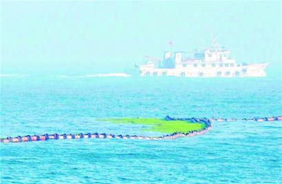 青島8船巡海深入滸穴探綠潮 青島8船巡海深入滸穴探綠潮