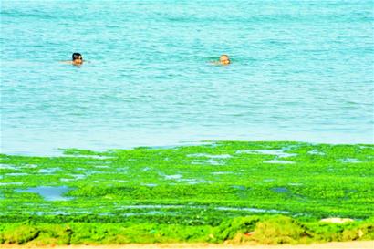 青島8船巡海深入滸穴探綠潮 青島8船巡海深入滸穴探綠潮