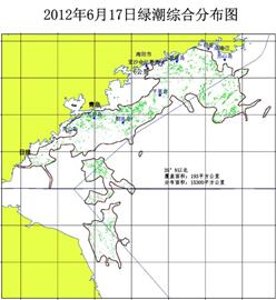 青島8船巡海深入滸穴探綠潮 青島8船巡海深入滸穴探綠潮