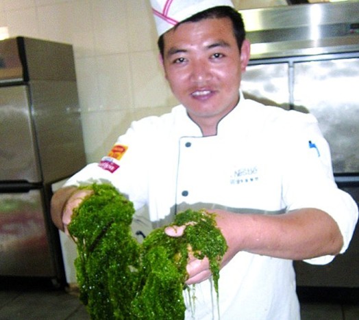 滸苔菜做法出爐 滸苔雞蛋餅滸苔老鴨湯超鮮美 滸苔菜做法出爐 滸苔雞蛋餅滸苔老鴨湯超鮮美