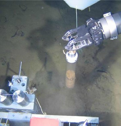 蛟龍號潛海獲生物樣品 發現暫時難解釋現象