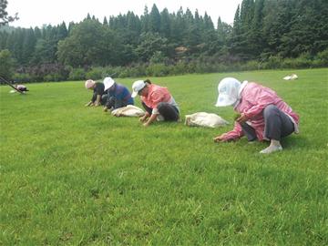 青島大多企業(yè)不發(fā)高溫補貼 青島大多企業(yè)不發(fā)高溫補貼