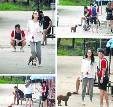 細數(shù)章子怡熒屏香艷激情戲