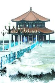 達維遠走預警解除 青島共轉移人員26504人