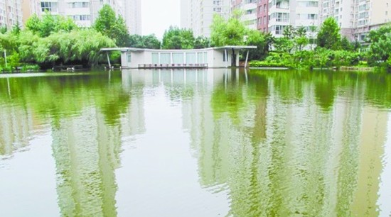 青島排水系統經住暴雨考驗 揭秘如何留住雨水