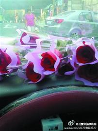 單身的哥自帶玫瑰送乘客 單身的哥自帶玫瑰送乘客