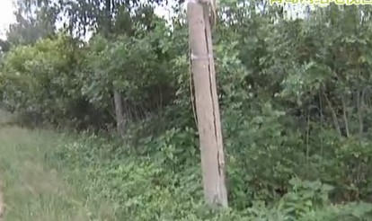 女子拔草竟觸電老伴冒死拖出 醒來后失憶 女子拔草竟觸電老伴冒死拖出 醒來后失憶