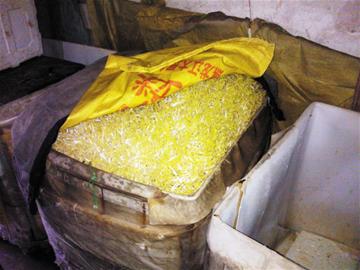 豆芽黑窩點被端