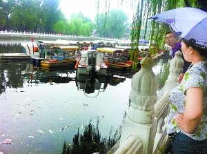 北京什剎海漂浮上千斤死魚 放生成殺生 北京什剎海漂浮上千斤死魚 放生成殺生