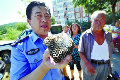 湖島新村上演人蜂大戰 冰火齊發將其拿下 湖島新村上演人蜂大戰 冰火齊發將其拿下