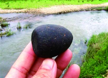 市民河邊撿到陀螺形石器 市民河邊撿到陀螺形石器