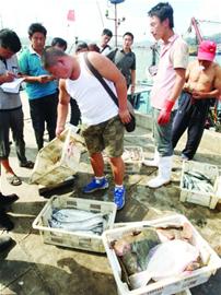 國家地理標志保護產品 國家地理標志保護產品