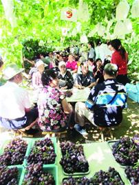 青島四大景區首日納客11萬人次