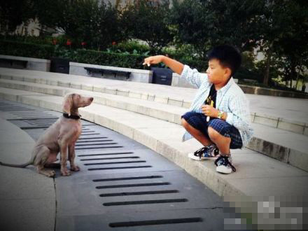 陳坤自爆寶貝兒子的清晰照 9歲優優訓狗場面溫馨