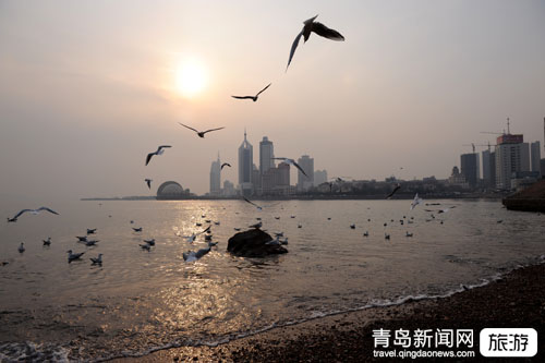 青島市南區旅游調查報告:旅游旺季市南交通全喊堵