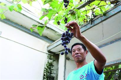 農(nóng)民堅(jiān)持記帳30年 農(nóng)民堅(jiān)持記帳30年