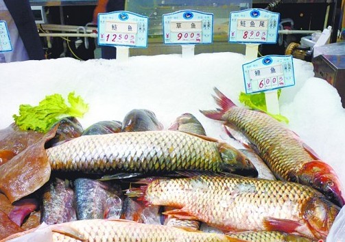 青島人一天吃掉5萬斤淡水魚 草魚最受歡迎 青島人一天吃掉5萬斤淡水魚 草魚最受歡迎