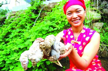 瀕臨滅絕嶗山三寶重現江湖 營養價值極高