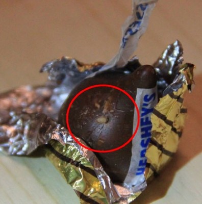 青島市民婚禮用好時巧克力現活蛆 全國均吃出