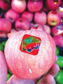 水果商標粘貼部位有毒 滲入果肉致人不孕不育 水果商標粘貼部位有毒 滲入果肉致人不孕不育