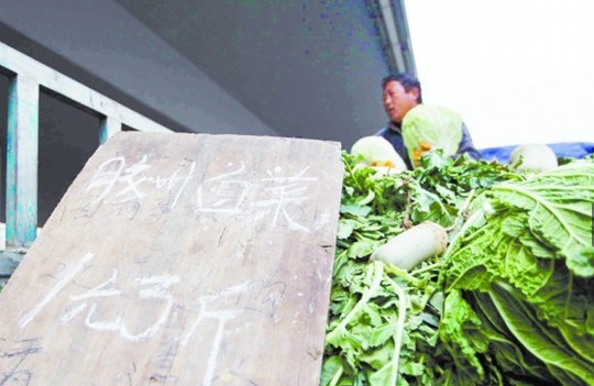 天冷菜價應聲漲 青島市民還能吃半月低價菜