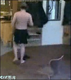 極品搞笑圖 能把人笑成神經病