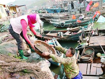 靈山島漁民改行釣鰻魚月入兩萬 一天能掙三千 靈山島漁民改行釣鰻魚月入兩萬 一天能掙三千