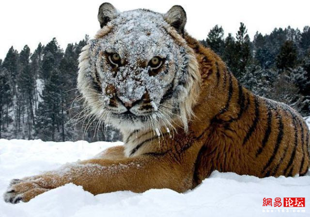 盤點讓人笑暈倒的囧圖 絕對霸氣