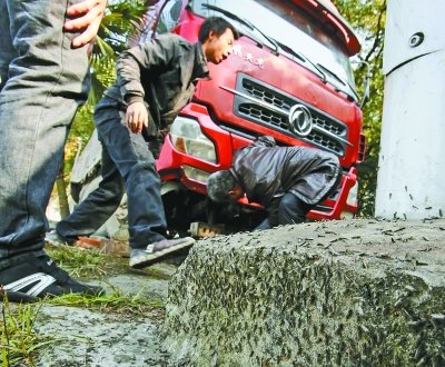 武漢東湖搖蚊暴發 滿地蚊尸致貨車打滑失控