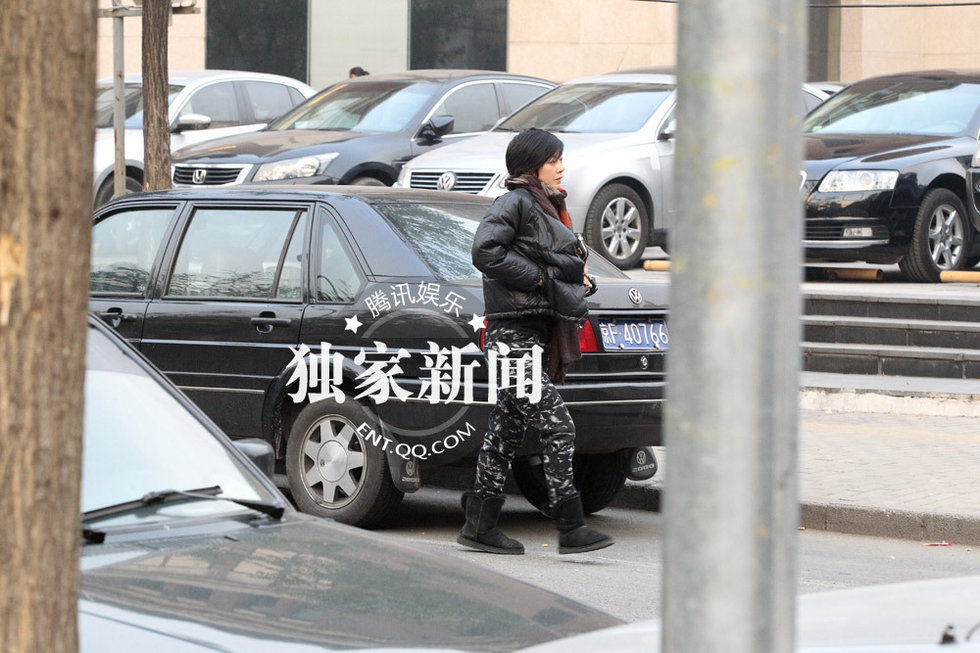 蘇巖孕后首現身羅嘉良陪同