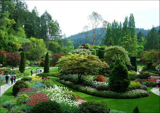 世園會建世外茶園 世園會建世外茶園