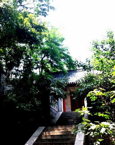 不出青島也看冰雪 細數冬游嶗山極品線路