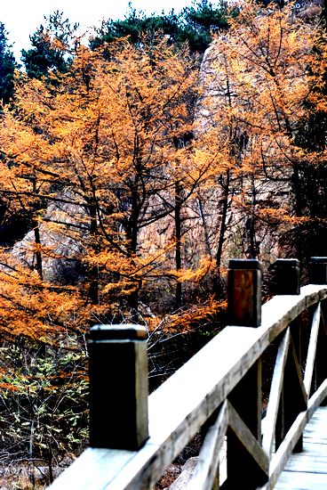 不出青島也看冰雪 細數冬游嶗山極品線路