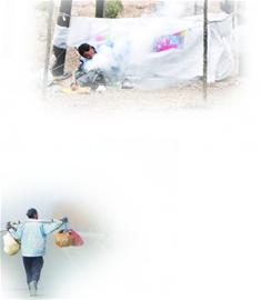 青島帳篷哥小樹林里住一年 撿東西吃拒絕救助 青島帳篷哥小樹林里住一年 撿東西吃拒絕救助