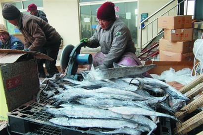 海鮮沾年氣 身價翻番漲 海鮮沾年氣 身價翻番漲