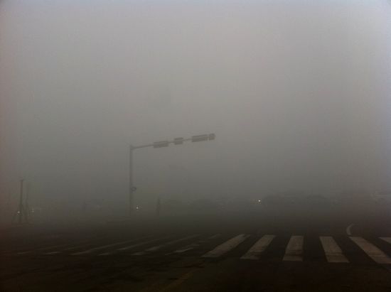 首發:今年最嚴重大霧鎖島城 高速全封閉