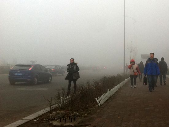 首發:今年最嚴重大霧鎖島城 高速全封閉