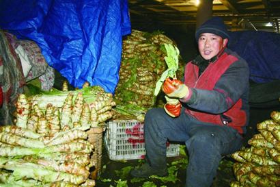 市場(chǎng)節(jié)前難見便宜菜 市場(chǎng)節(jié)前難見便宜菜