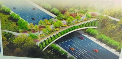 環膠州灣鋪設綠色慢行道