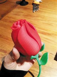 神奇3D打印機有求必應 能打印夢中情人 神奇3D打印機有求必應 能打印夢中情人