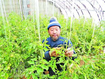 那些年，我們那樣學雷鋒