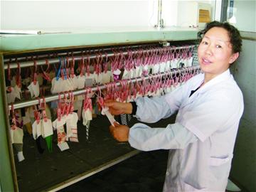 羊絨?羊毛?放大500倍數1500根