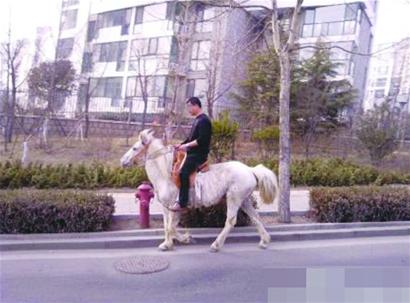 男子騎白馬閑逛銀川西路 網友調侃堪比唐三藏