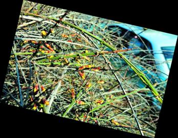 26℃變0℃ 青島今夜將由夏入冬 26℃變0℃ 青島今夜將由夏入冬