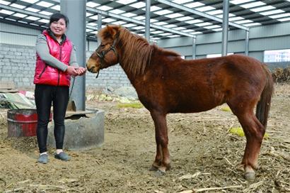 村民開辦家庭動物園免費對外開放 村民開辦家庭動物園免費對外開放