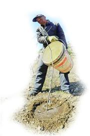 “愚公”7年填平20畝“山疤” “愚公”7年填平20畝“山疤”